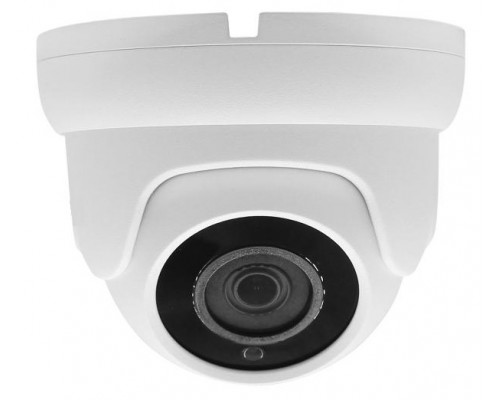 Видеокамера AltCam DDMF51IR