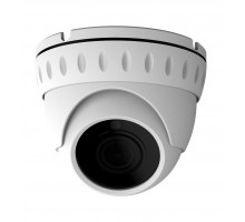 Видеокамера AltCam DDMV81IR